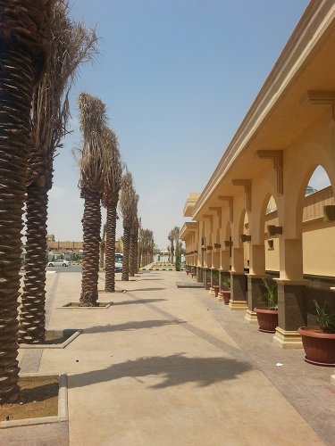 King Abdullah Mosque (13)